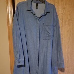 Agnes and Dora Denim dress